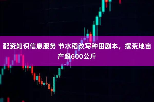 配资知识信息服务 节水稻改写种田剧本，撂荒地亩产超600公斤